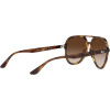 Ray-Ban Rb4376 Aviator Sunglasses